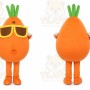 Vegetables Anime Cosplay Mascot Costumes Radish Cabbage Potato Eggplant