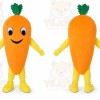 Vegetables Carrot Mascot Costume