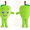 Vegetables Mascot Costume