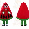 Waterlemon Mascot Costume Red Waterlemon