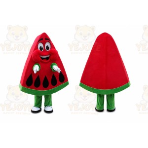 Waterlemon Mascot Costume Red Waterlemon