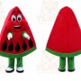 Waterlemon Mascot Costume Red Waterlemon