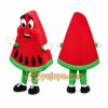 Watermelon Mascot Costume Watermelon Mascot Costume