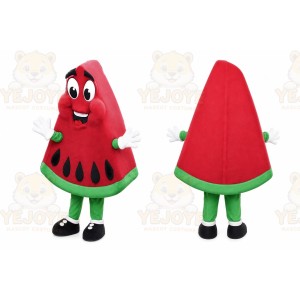 Watermelon Mascot Costume