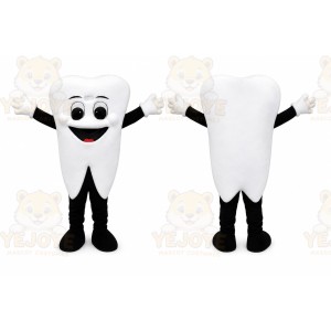 White Teeth Tooth Mascot Costume