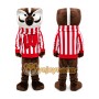 Badger Mascot Costume