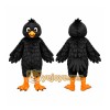 Black Bird Mascot Costume