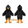 Black Bird Mascot Costume