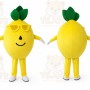 Yellow Lemon Party Mascot Costume