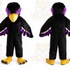 Black Eagle Mascot Hawk _ Falcon Mascot Costume