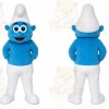 Blue Elf Boy Mascot Costume