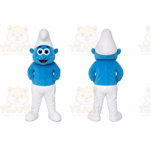 Blue Elf Boy Mascot Costume