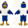 Blue Falcon Mascot Costume