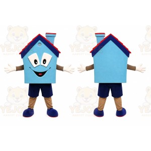 Blue House Mascot Costume