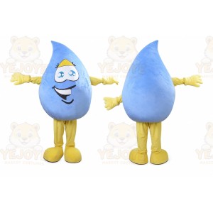 Blue Rain Drop Mascot Costume