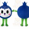 Blueberry Mascot Fruit Costume Suit