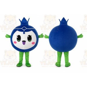 Blueberry Mascot Fruit Costume Suit