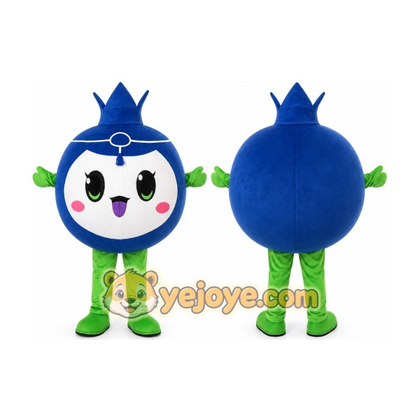 Blueberry Mascot Fruit Costume Suit