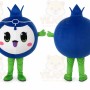 Blueberry Mascot Fruit Costume Suit