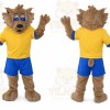 Bob Cat Mascot Costumes