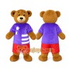 Brown Bear Adult Animal Mascot Costume