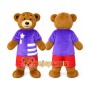 Brown Bear Adult Animal Mascot Costume