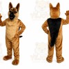 Bulldog And Husky Dog Mascot Costumes