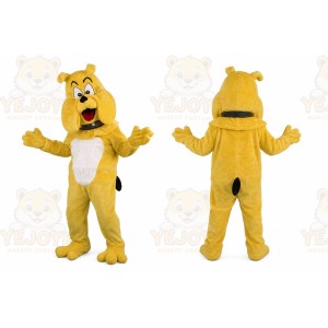 Bulldog Mascot Costume With Collar