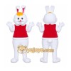 Bunny Cartoon Character Mascot Costumes Bunny Cartoon Character Mascot Costumes