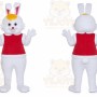 Bunny Cartoon Character Mascot Costumes