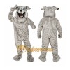 Buster Bulldog Mascot Costume Sport Carnival Buster Bulldog Mascot Costume Sport Carnival