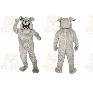 Buster Bulldog Mascot Costume Sport Carnival