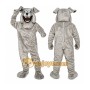 Buster Bulldog Mascot Costume Sport Carnival