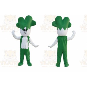 Cabbage Vegetable Mascot Costume