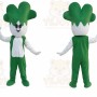 Cabbage Vegetable Mascot Costume