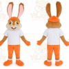 Carnival Easter Bunny Rabbit Mascot Costume