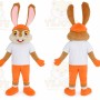 Carnival Easter Bunny Rabbit Mascot Costume