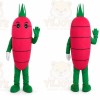 Carrot Mascot Costume Vegetables