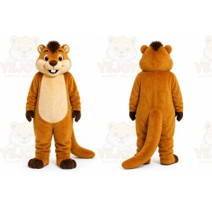Cartoon Mascot Costume for Adult