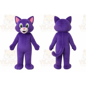 Cat Mascot Costume Cartoon Character