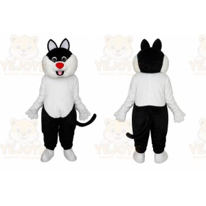 Cats Kittens Cat Mascot Costumes
