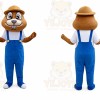 Chipmunks _ Squirrel Mascot Costume