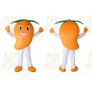 Chito Melon Fruit Mascot Costume