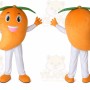 Chito Melon Fruit Mascot Costume