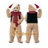 Christmas X-mas Teddy Bear Mascot Costumes Christmas X-mas Teddy Bear Mascot Costumes