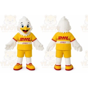 DHL _ UPS Shipping Cost
