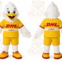 DHL _ UPS Shipping Cost