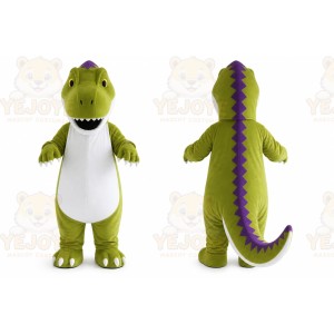 Dinosaurs Mascot Costume