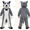 Dog Huskie Husky Mascot Costume