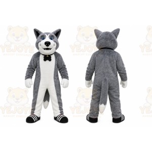 Dog Huskie Husky Mascot Costume